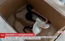 Українець намагався провезти через кордон холодильник з тринадцятьма пітонами (відео)