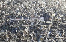 У полі на Тернопільщині знайшли "мумію" невідомого: поліція встановлює особу (фото)