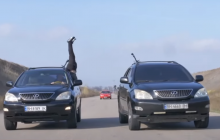 После шпагата как у Ван Дамма: одесский каскадер замахнулся на национальный рекорд (видео)