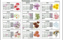 Выходные в Украине 2020: когда и сколько отдыхаем (календарь)