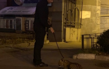 Outrage as Kyiv man spotted walking leopard on leash (Photo)