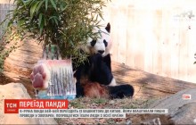 Китайской панде устроили пышные проводы перед ее возвращением на историческую родину (видео)