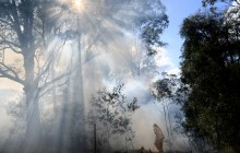 Сідней накрив дим від лісових пожеж