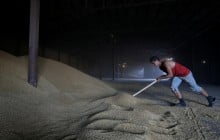 Wheat exports account for over 80% of target as of April 5 – ministry