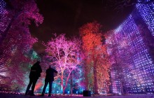 У Лондоні прикрасили різдвяними гірляндами Королівський ботанічний сад (відео, фото)