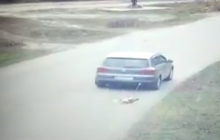 З’явилося відео як авто чиновника-шкуродера тягне прив'язану собаку