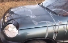 На Харківщині невідомі облили кислотою авто прикордонника (відео)