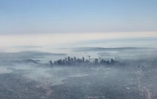 У Сіднеї вперше за 100 років відкривають новий зоопарк