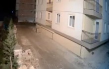 Кішка відчула наближення землетрусу в Албанії: відео