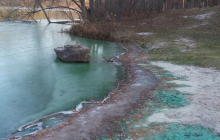 Химикаты или токсические отходы: на Киевщине позеленело озеро (фото)