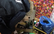 На юге Украины разоблачили две нарколаборатории с миллионными оборотами