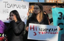 У Чернівцях заборонили пересувні цирки з тваринами
