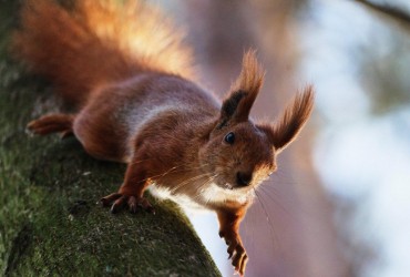 Синоптикиня назвала дату, коли у Києві потеплішає