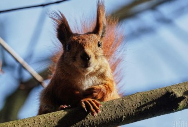На вихідних українців чекає ослаблення морозів й трохи дощів (карта)