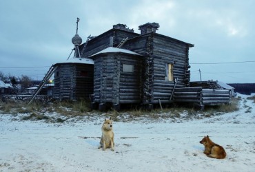 У Росії зібралися зайнятися будівництвом дерев'яних дев'ятиповерхівок