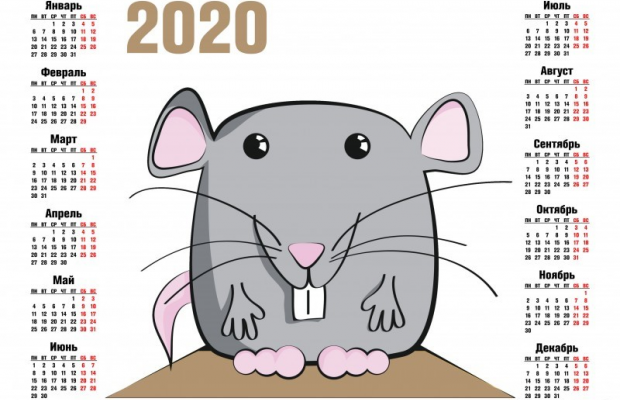 Астрологи рассказали, каким будет 2020 год для разных знаков Зодиака