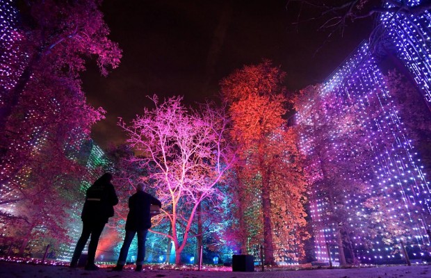 У Лондоні прикрасили різдвяними гірляндами Королівський ботанічний сад (відео, фото)