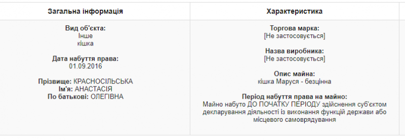 "Бесценная" кошка Маруся попала в декларацию нардепа / скриншот