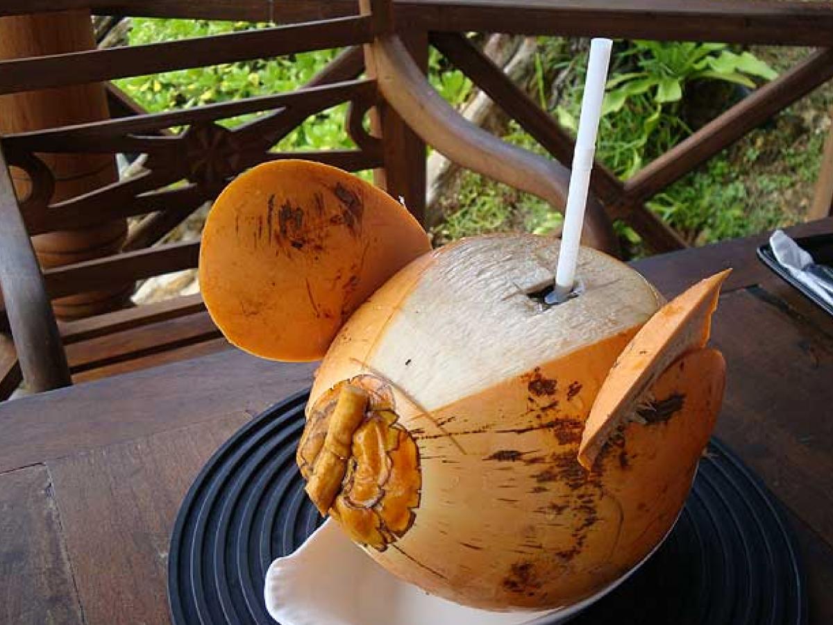 Попить из кокоса на Шри-Ланке нужно обязательно / Фото Вероника Кордон