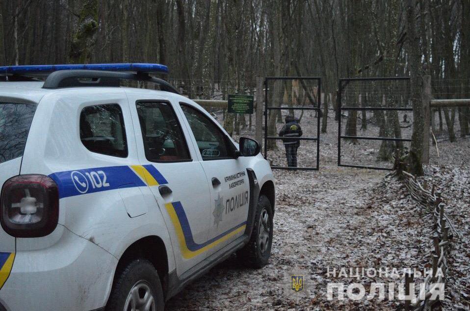Тварини були напівручними, вони не боялися людей / фото ГУ НП в Волинській області Тварини були напівручними, вони не боялися людей / фото ГУ НП в Волинській області