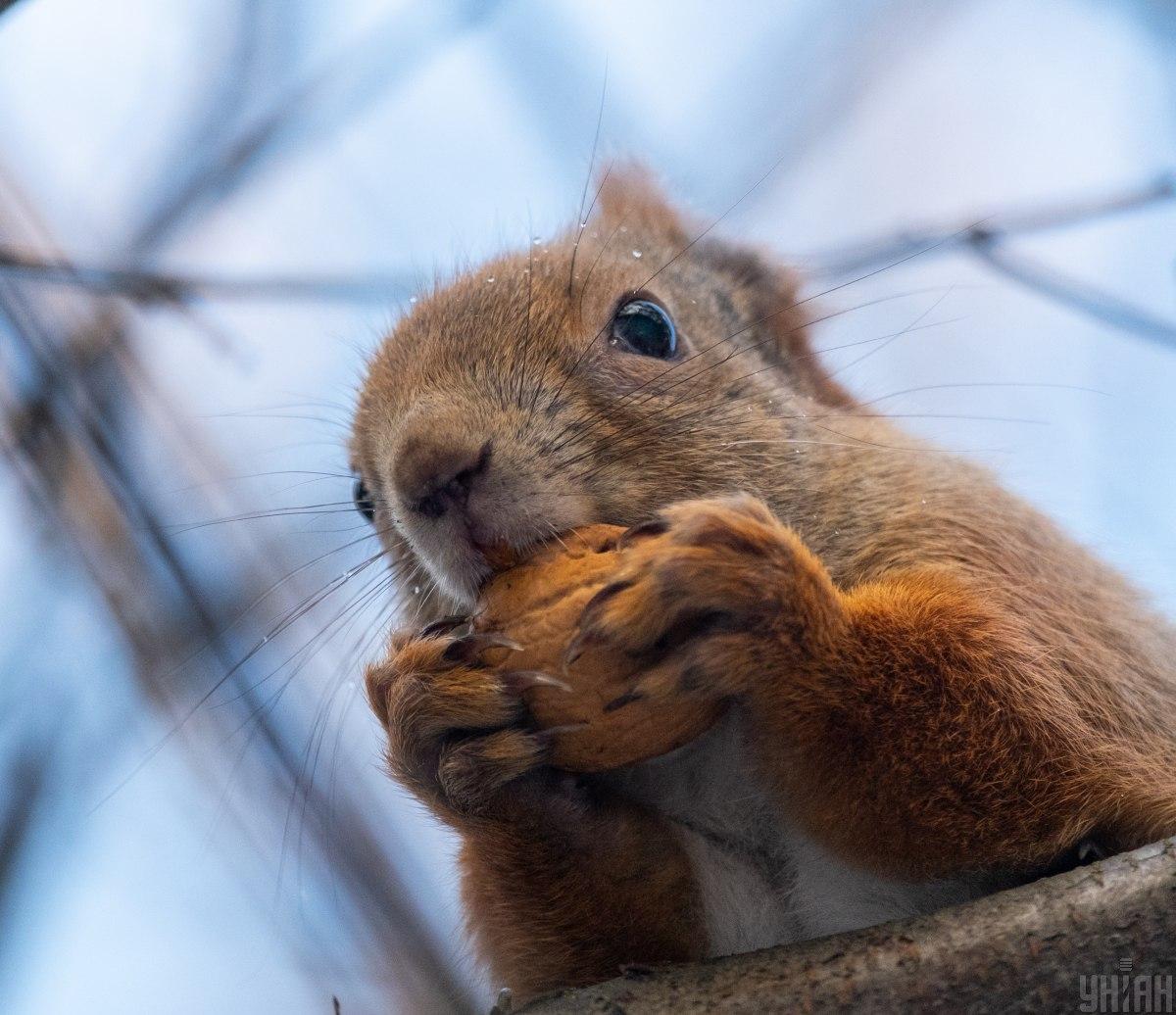 2 декабря в Украине будет сухо / Фото УНИАН 2 декабря в Украине будет сухо / Фото УНИАН