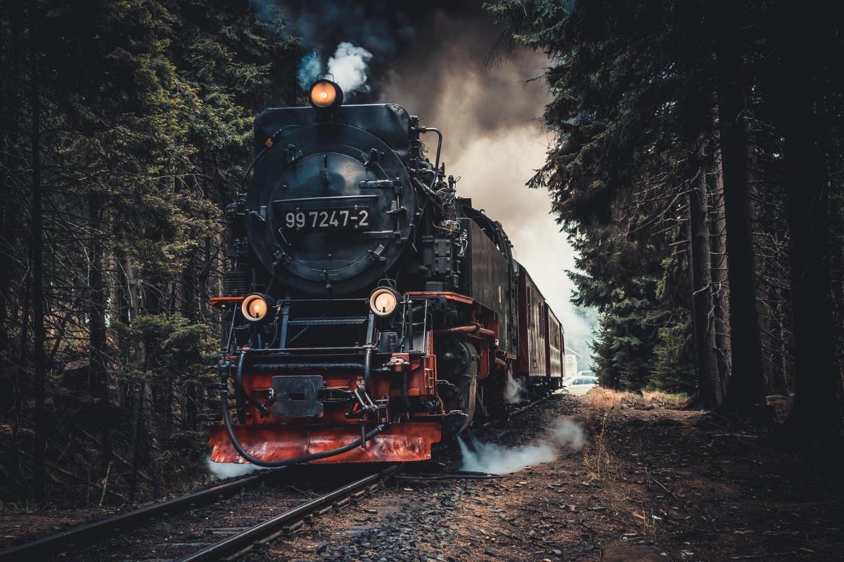 Інцидент стався в графстві Ессекс / www.pexels.com Інцидент стався в графстві Ессекс / www.pexels.com
