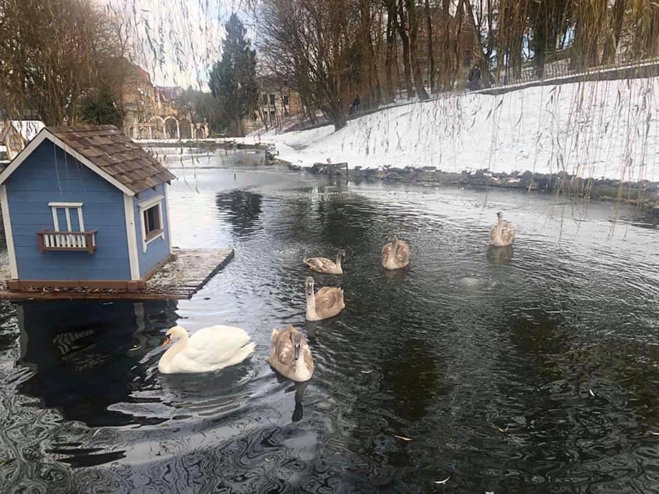 Парк має все необхідне, зокрема – велику водойму / facebook.com/groups/461999330624925/ Парк має все необхідне, зокрема – велику водойму / facebook.com/groups/461999330624925/