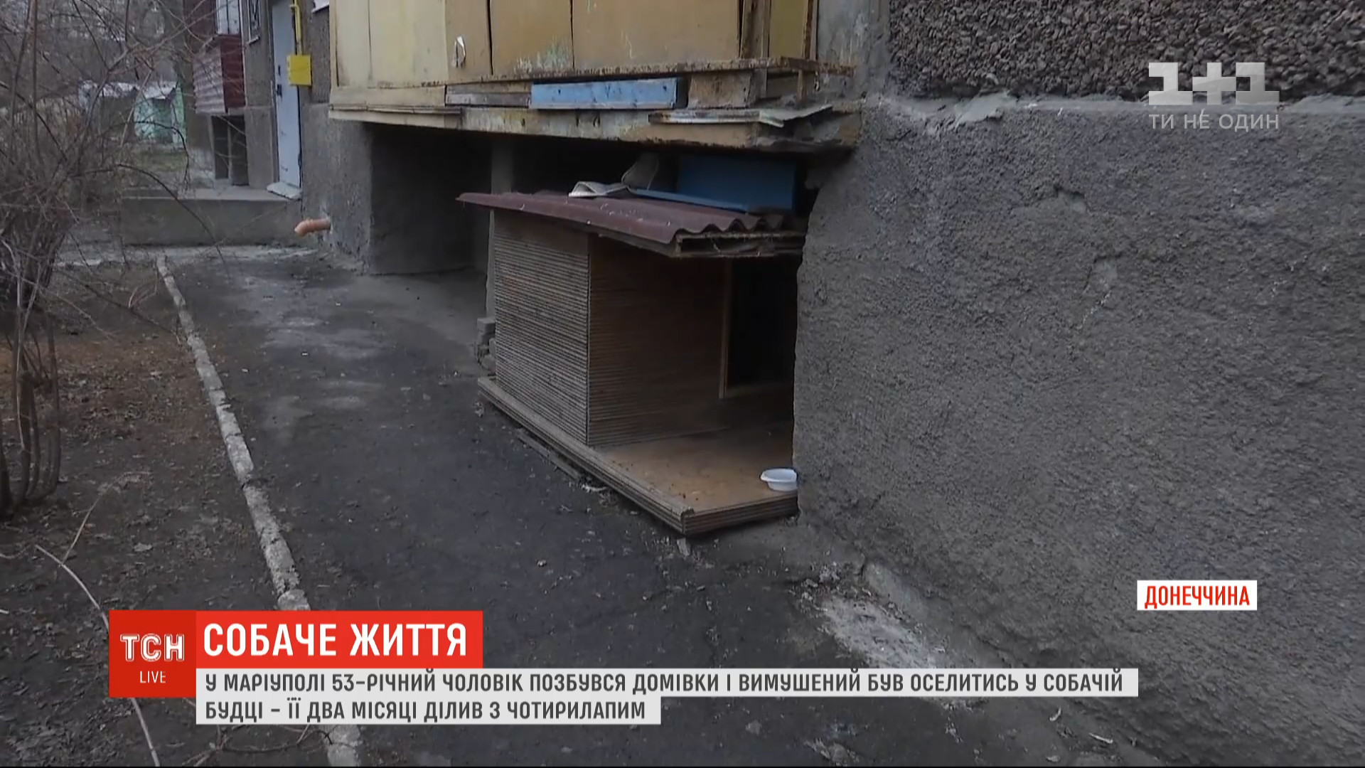 Чоловік жив у буді з собакою / скріншот Чоловік жив у буді з собакою / скріншот