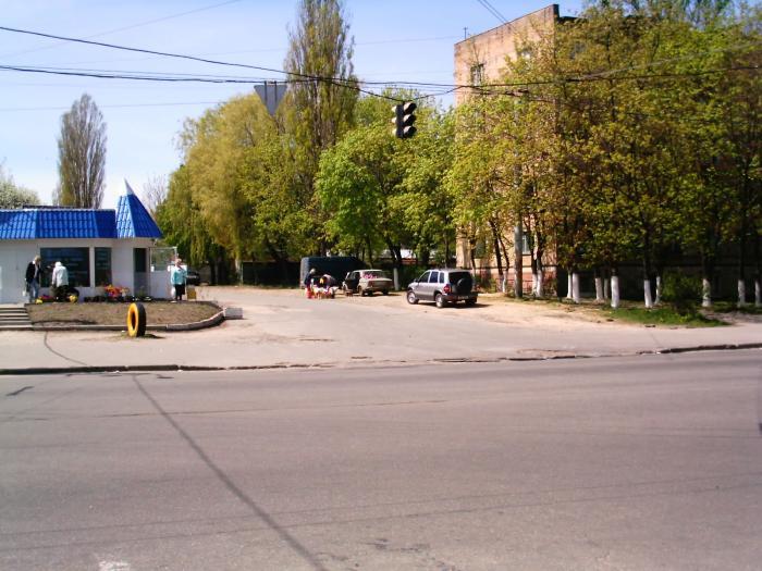 В Киеве улицу Маршала Гречка переименовали \ wikimapia.org В Киеве улицу Маршала Гречка переименовали \ wikimapia.org