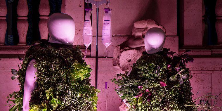 Жилеты из растений проекта Posthuman Habitats, которые предсавили в Пекине / фото foreground-da.com Жилеты из растений проекта Posthuman Habitats, которые предсавили в Пекине / фото foreground-da.com
