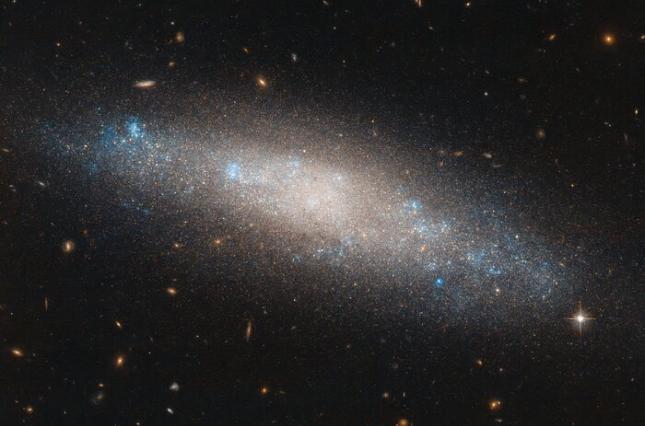 Галактика NGC 4455 находится в созвездии Волосы Вероники / Фото: spacetelescope.org Галактика NGC 4455 находится в созвездии Волосы Вероники / Фото: spacetelescope.org