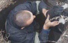 Порятунок цуценяти: на Одещині чотирилапого бранця визволили із каналізаційного люка (відео)