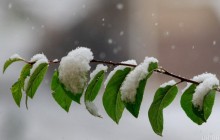 Погода на завтра: місцями в Україні пройдуть дощ і сніг