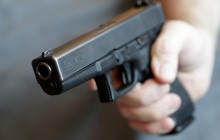 Гавкала на автомобіль: на Чернігівщині водій застрелив вуличного собаку