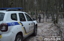 «Це просто вбивці»: лісівники розповіли подробиці розстрілу самок ланей на Волині