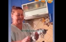 У Харкові жінка знущалася з кошеняти, а її малолітня родичка сміялася й знімала все на відео