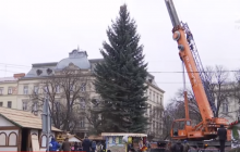 Во Львове установили главную новогоднюю елку (видео)