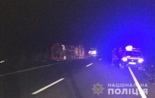 Біля Одеси мікроавтобус збив пішохода та протаранив легковик: двоє загинуло (фото)