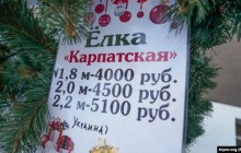 "Везуть через Росію": у центрі Сімферополя продають штучні ялини з Прикарпаття (фото)