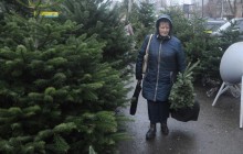 В Госэкоинспекции рассказали, как правильно выбрать новогоднюю елку