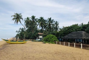 Буддійські храми, чайні плантації та екзотичні тварини: що подивитися на Шрі-Ланці