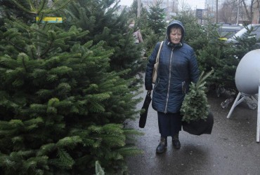 В Киеве открылись новогодние ярмарки: сколько стоят елки