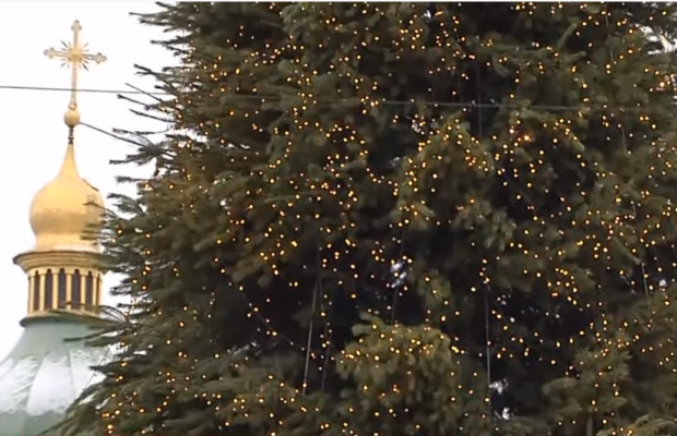 Главная елка страны: на Софийской площади монтируют новогоднюю красавицу (видео)