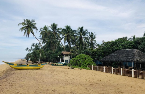 Минимум три теста на коронавирус: на каких условиях Шри-Ланка планирует открыться для всех туристов с 1 августа