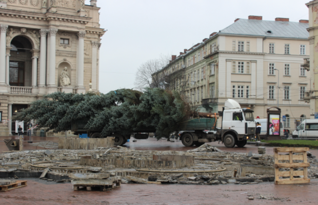 Головну ялинку Львова вирішили не прикрашати іграшками