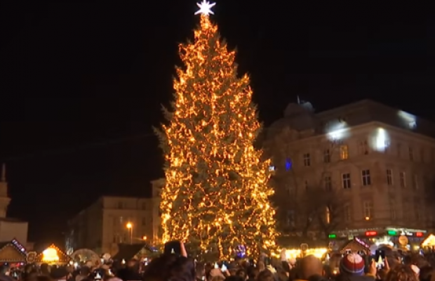 Лаконічна і елегантна: у центрі Львова замерехтіли вогники новорічної ялинки (фото, відео)