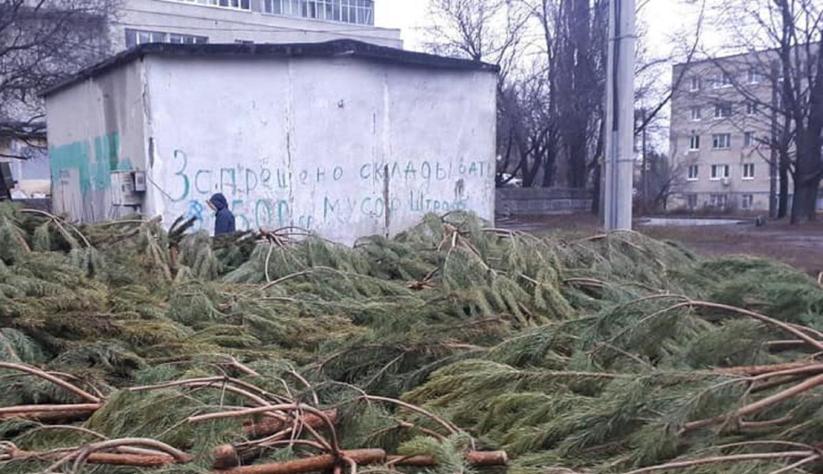 Світлини покинутих живих дерев у мережу почали масово викладати місцеві мешканці / sq.com.ua Світлини покинутих живих дерев у мережу почали масово викладати місцеві мешканці / sq.com.ua