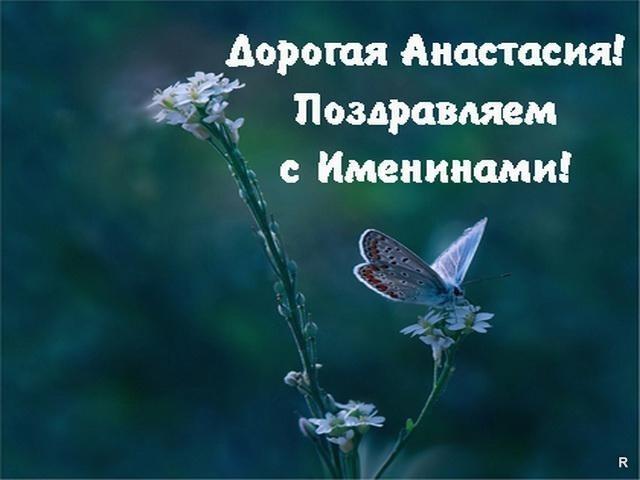 День Анастасии День Анастасии