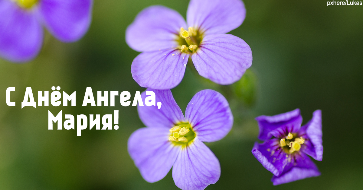 Привітання з Днем ангела Марії Привітання з Днем ангела Марії