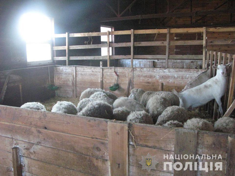 На Київщині знущалися над тваринами / Фото: Нацполіція На Київщині знущалися над тваринами / Фото: Нацполіція
